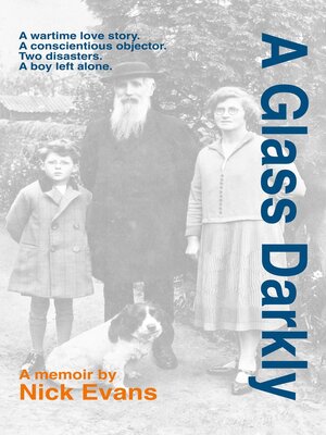 cover image of A Glass Darkly